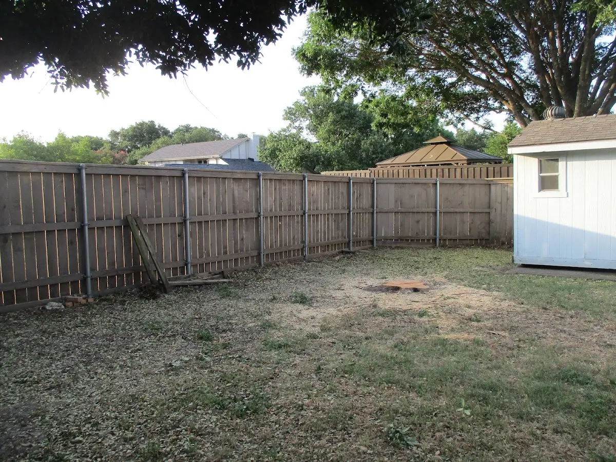 Cleared yard after professional tree removal in Maple Heights